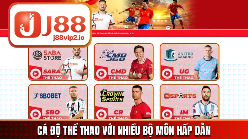 Cá độ thể thao với nhiều bộ môn hấp dẫn, thú vị